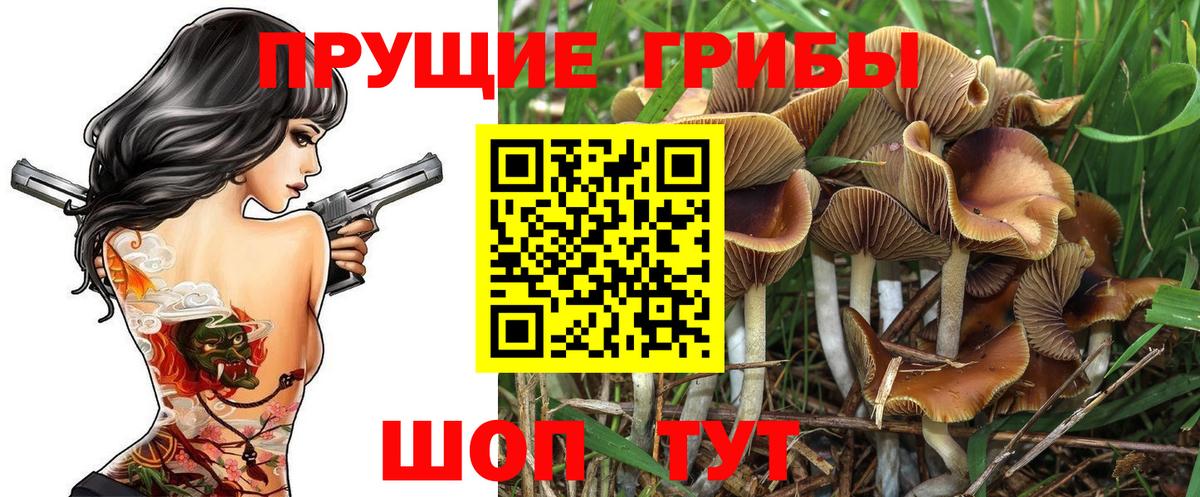 Псилоцибиновые грибы ЛСД Камышлов