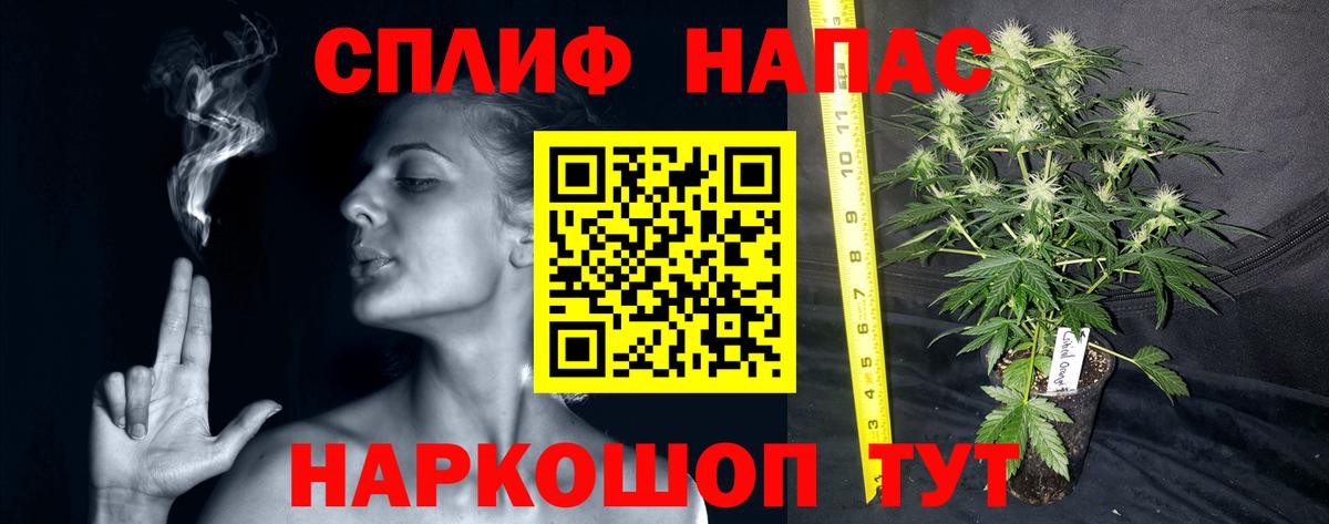 Бошки марихуана White Widow Камышлов